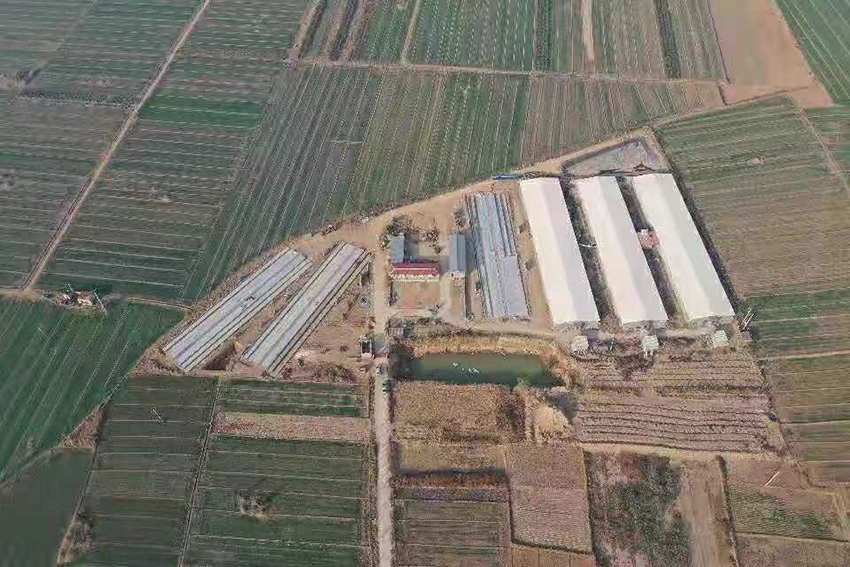 华北 生态农场.jpg