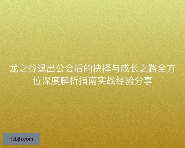 龙之谷退出公会后的抉择与成长之路全方位深度解析指南实战经验分享